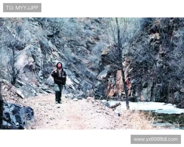 亚星官网入口登录失败怎么办？详细解决方案帮助用户快速恢复正常访问