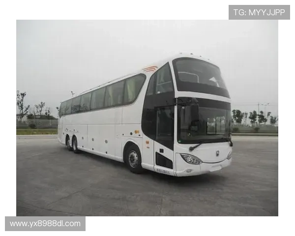 亚星YBL6148H2QP1详细参数配置与性能评测,助你全面了解这款设备的优势与不足 亚星YBL6148H2QP1详细参数配置与性能评测,助你全面了解这款设备的优势与不足