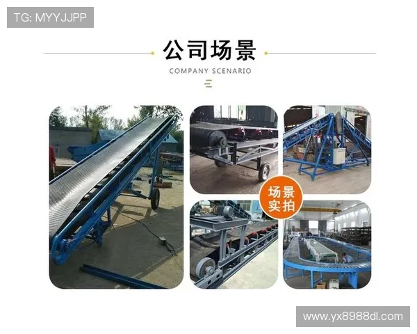 深入了解亚星官网的功能与服务项目介绍 深入了解亚星官网的功能与服务项目介绍